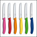 VICTORINOX  sada noov 6.7839.6G(6 ks)